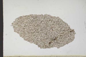 Plane Polarized, S10396