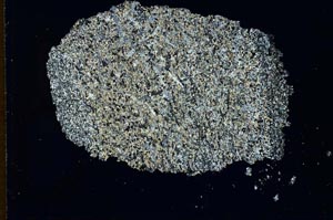 Cross Polarized, S10397