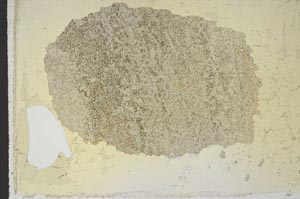 Plane Polarized, S10397