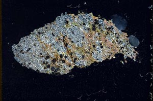 Cross Polarized, S10398