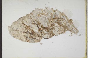 Plane Polarized, S10398