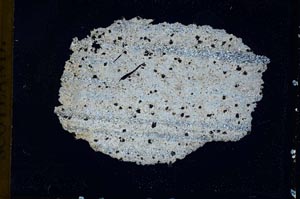 Cross Polarized, S10400