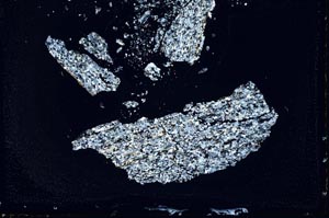 Cross Polarized, S10403