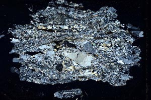 Cross Polarized, S10404