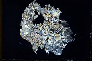 Cross Polarized, S10405