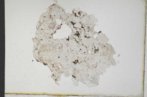 Plane Polarized, S10405