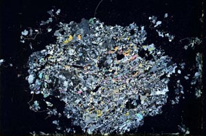 Cross Polarized, S10407