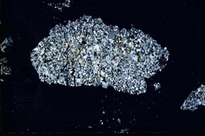 Cross Polarized, S10408