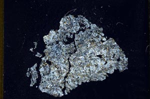 Cross Polarized, S10409