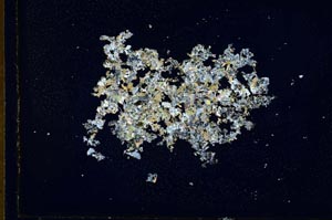 Cross Polarized, S10410