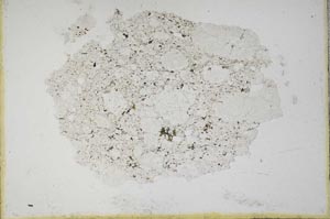 Plane Polarized, S10432
