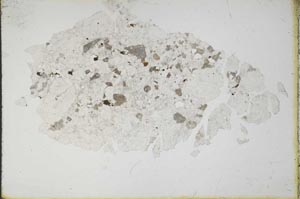Plane Polarized, S10435