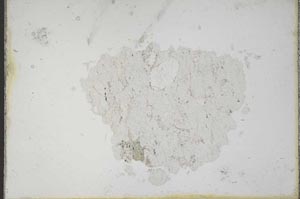 Plane Polarized, S10438