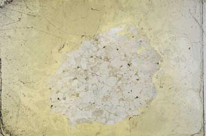 Plane Polarized, S10439