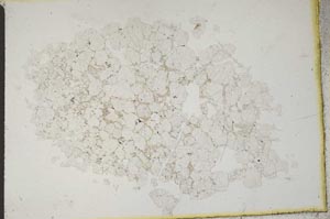 Plane Polarized, S10441