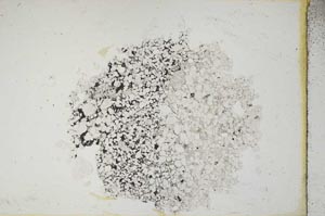Plane Polarized, S10444