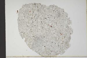 Plane Polarized, S10451