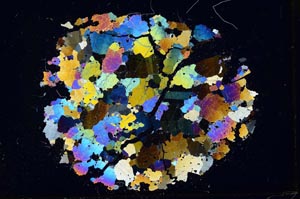 Cross Polarized, S10454