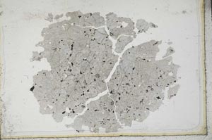 Plane Polarized, S10454