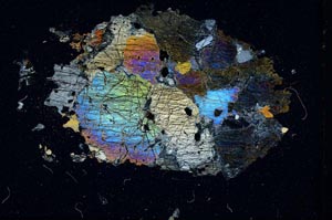 Cross Polarized, S10456