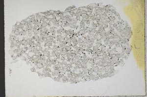 Plane Polarized, S10457