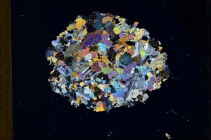 Cross Polarized, S10459