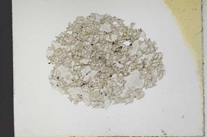 Plane Polarized, S10459