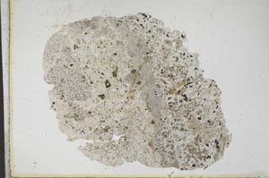 Plane Polarized, S10460