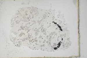 Plane Polarized, S10467