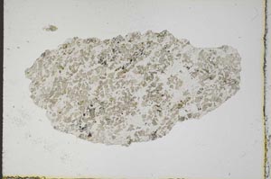 Plane Polarized, S10472