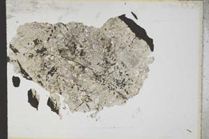 Plane Polarized, S10476