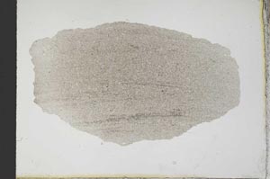 Plane Polarized, S10484