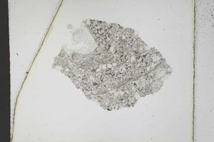 Plane Polarized, S10488