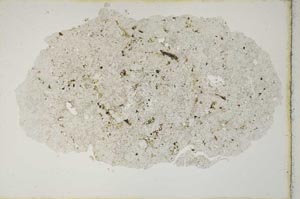 Plane Polarized, S10492