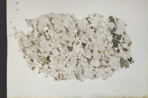 Plane Polarized, S10494