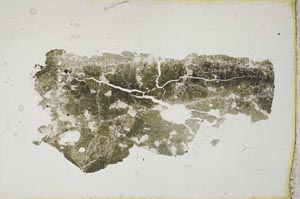 Plane Polarized, S10495