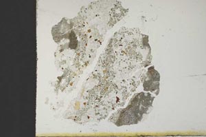 Plane Polarized, S10496