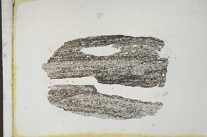 Plane Polarized, S10498