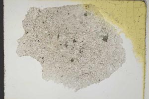Plane Polarized, S10499