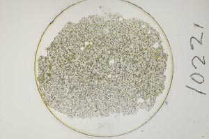 Plane Polarized, S1022