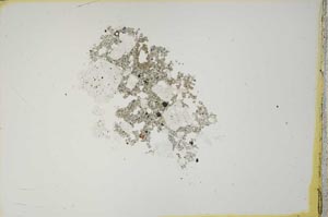 Plane Polarized, S1033