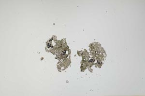 Plane Polarized, S1051