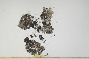 Plane Polarized, S1074