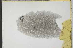 Plane Polarized, S1079