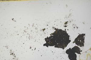 Plane Polarized, S1090