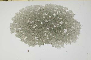 Plane Polarized, S1114
