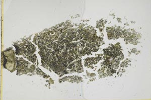 Plane Polarized, S1116