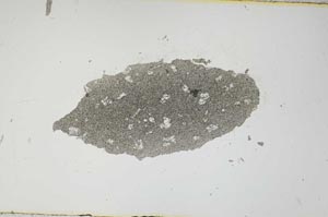 Plane Polarized, S1125