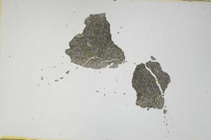 Plane Polarized, S1130