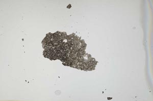 Plane Polarized, S1135